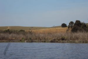 DSC00634