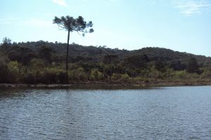 DSC00656