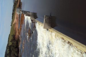DSC00706