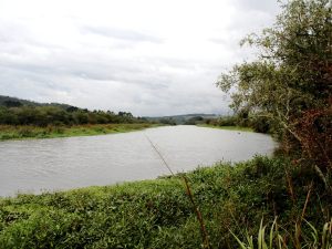 IMG_3419
