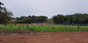 20181004_154849