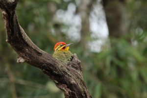 IMG_9159