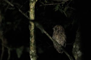 IMG_1714