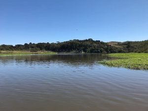 IMG_3525